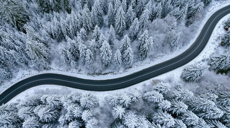 Winding road cutting through snow-covered forest from aerial top-down view