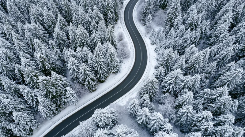 Winding road through snow-covered pine forest from aerial view