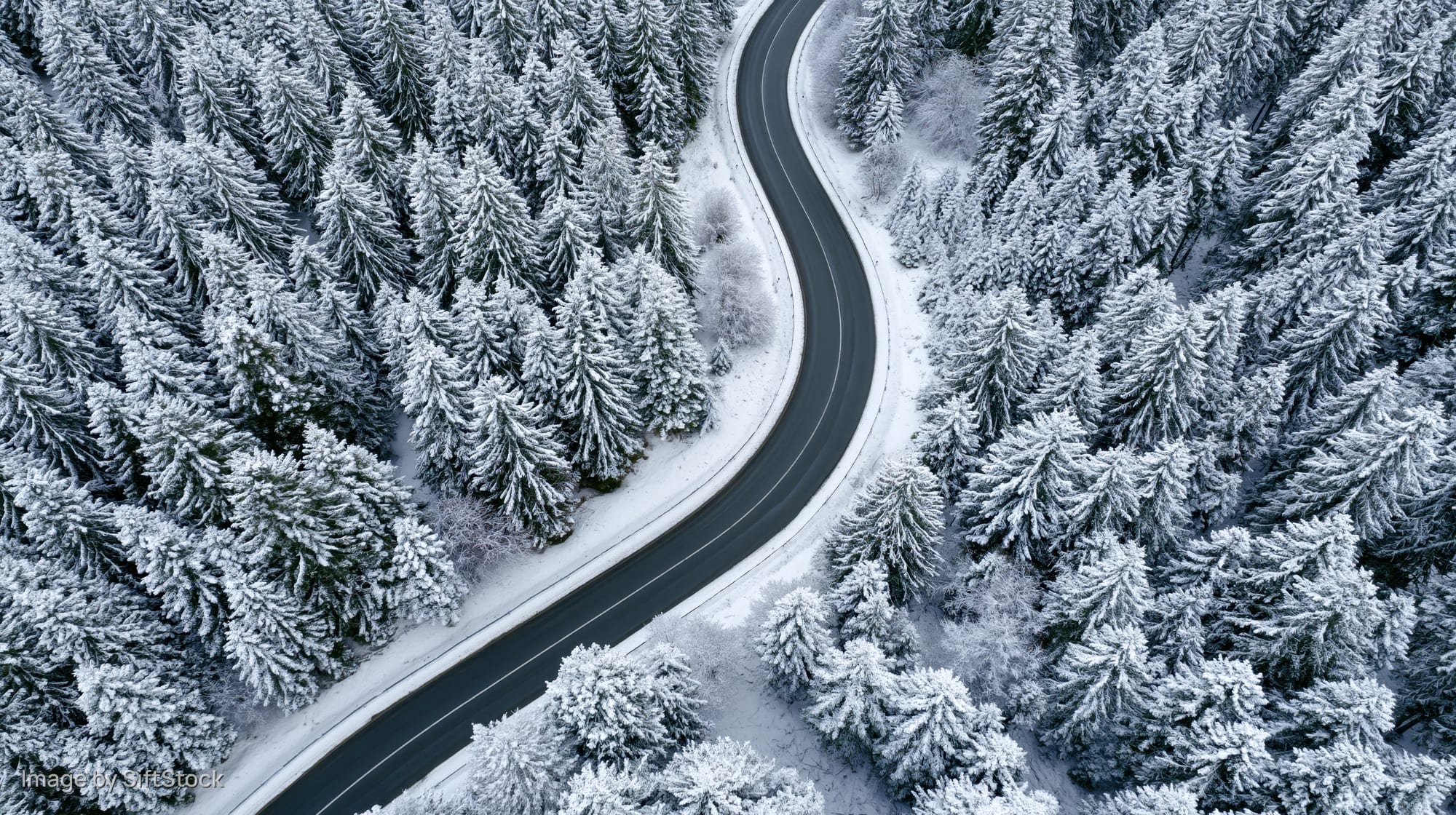 Winding road through snow-covered pine forest from aerial view