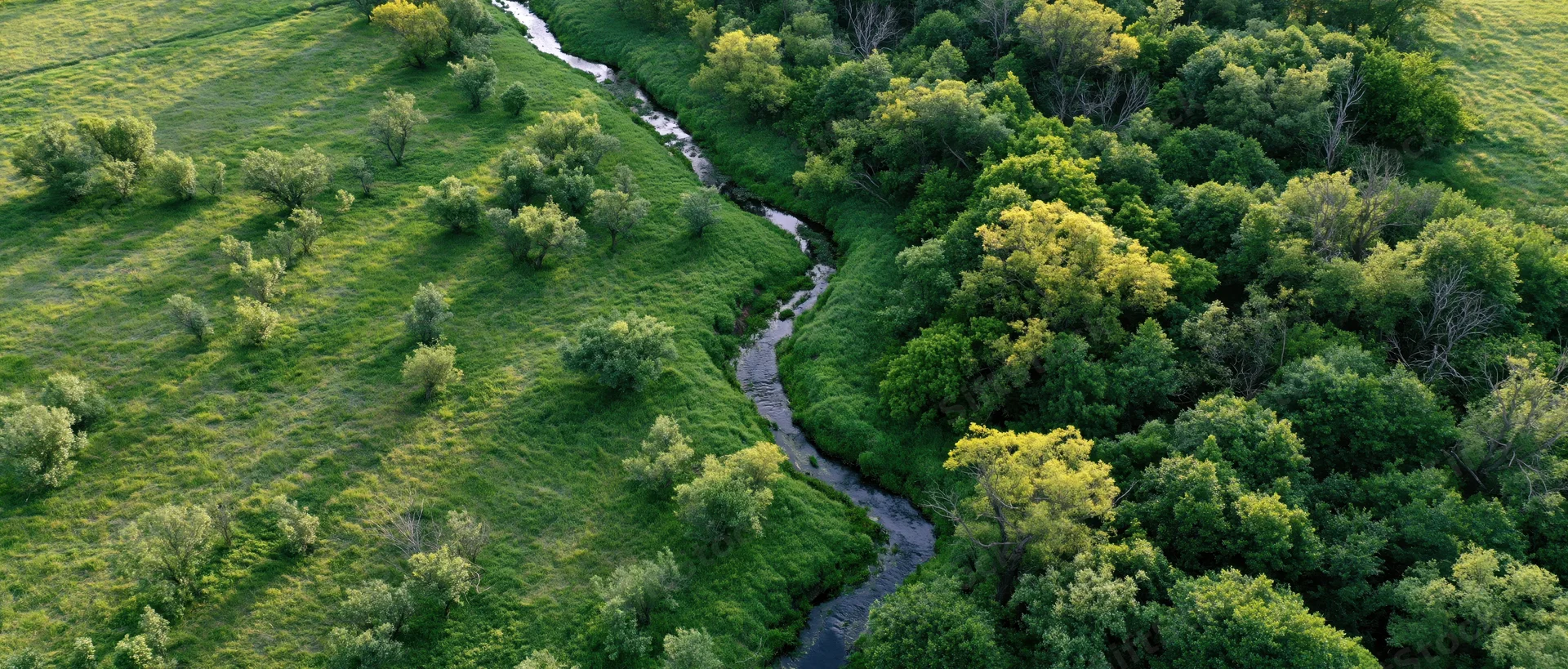 Aerial view of a winding river flowing through green forest and meadow landscape
