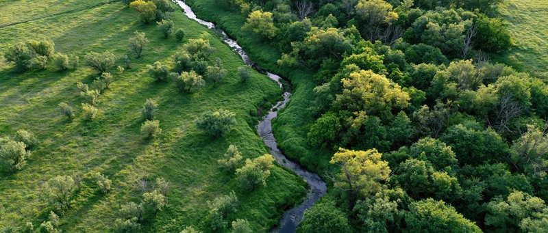 Aerial view of a winding river flowing through green forest and meadow landscape