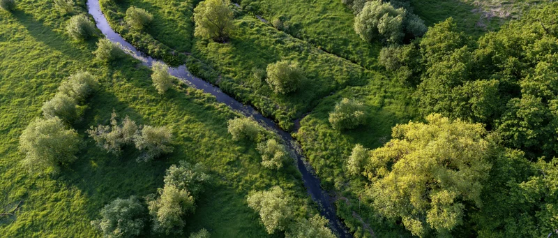 Aerial top-down view of a winding river through green forest and meadow