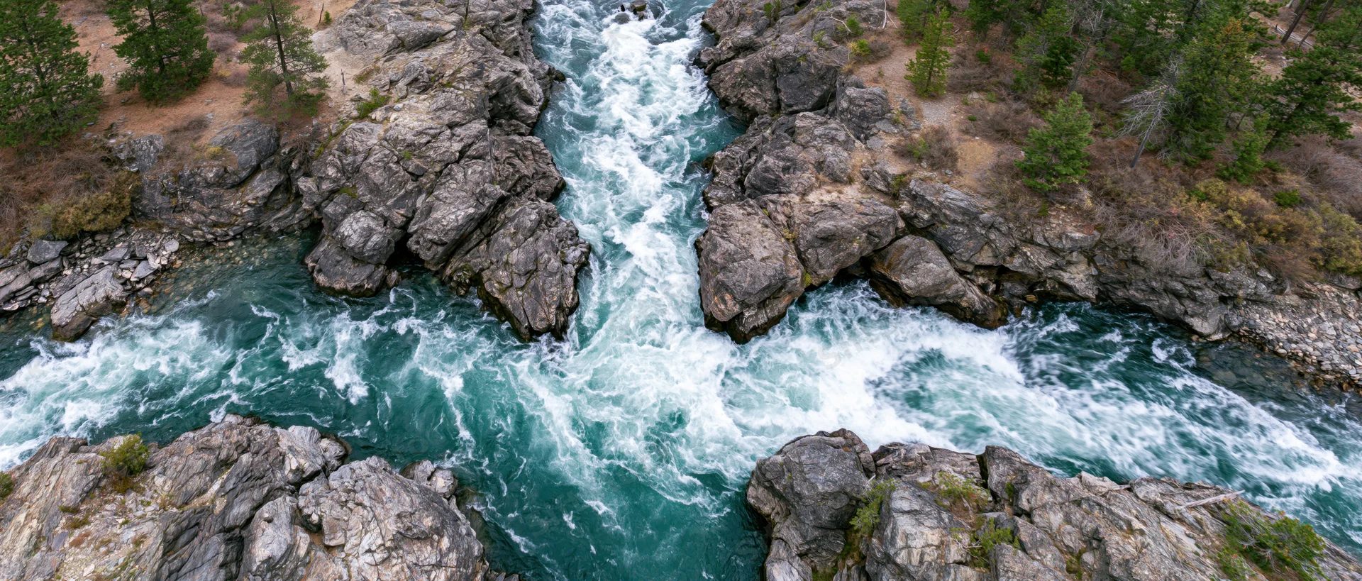 Aerial top-down view of a fast-moving glacial river cutting through rocky canyon with pine trees on banks