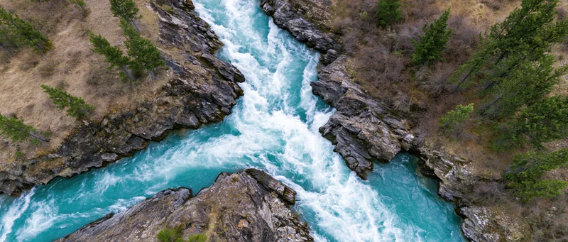 Aerial top-down view of a fast-moving glacial river cutting through rocky canyon with pine trees and dry grass on banks