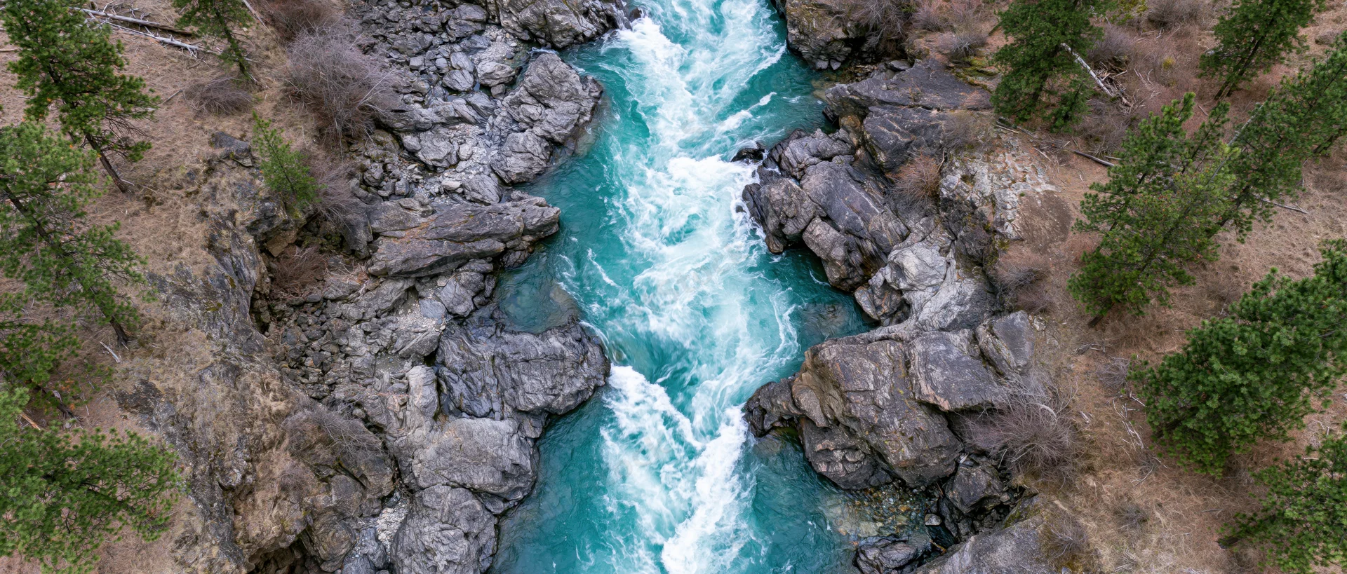 Aerial top-down view of a fast-moving glacial river cutting through rocky canyon surrounded by pine trees and dry grass
