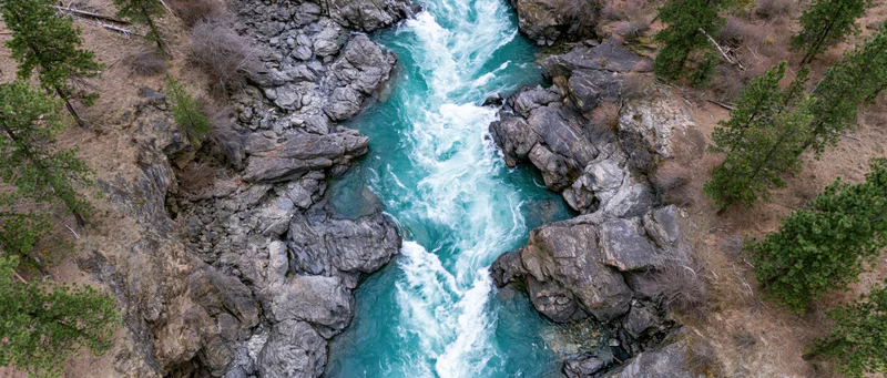 Aerial top-down view of a fast-moving glacial river cutting through rocky canyon surrounded by pine trees and dry grass