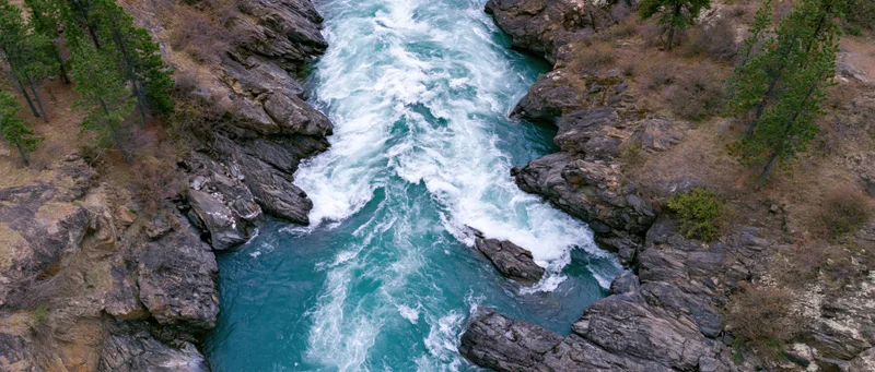 Aerial top-down view of a fast-moving turquoise river flowing through rocky canyon surrounded by pine trees