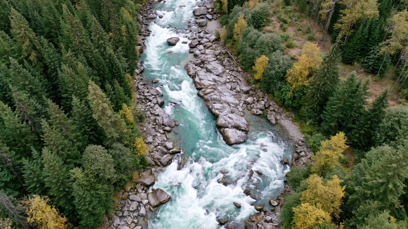 Aerial top-down view of a glacial turquoise river rushing through a forested valley with autumn foliage and rocky banks