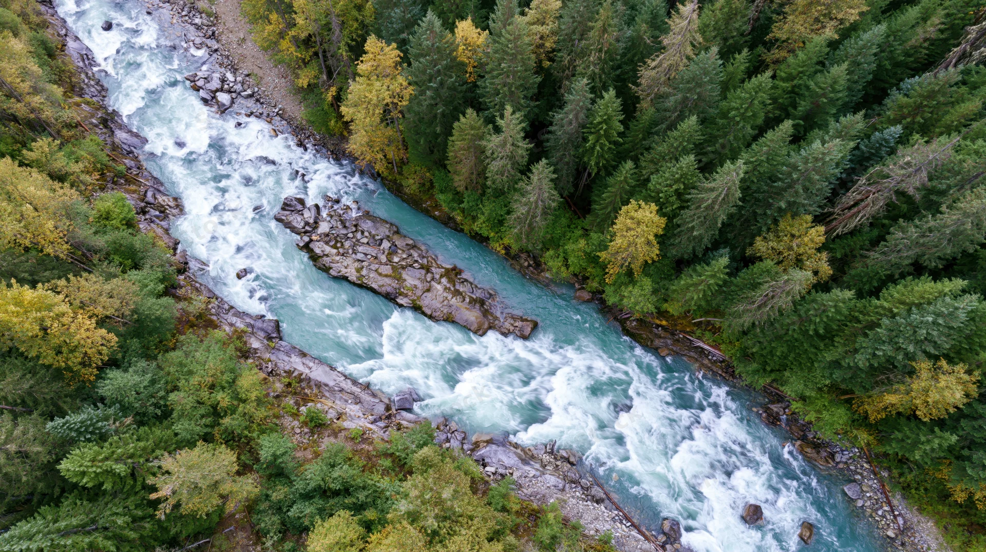 Aerial top-down view of a glacial turquoise river rushing through a forested valley with autumn foliage and rocky banks