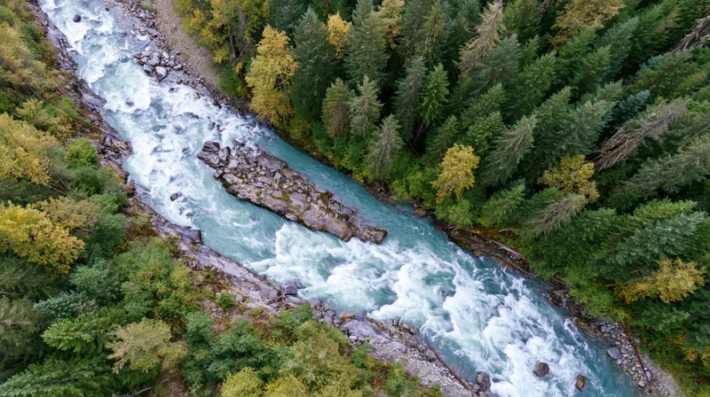 Aerial top-down view of a glacial turquoise river rushing through a forested valley with autumn foliage and rocky banks