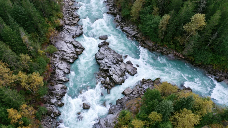 Aerial top-down view of a glacial turquoise river rushing through rocky canyon surrounded by evergreen forest with autumn foliage