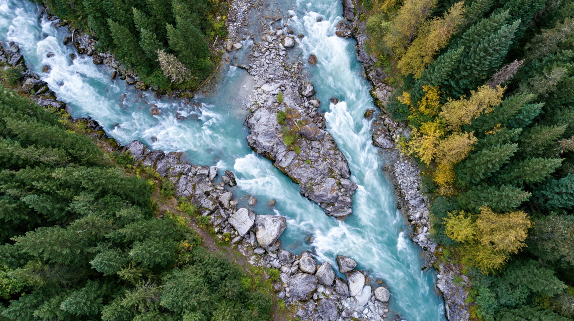 Aerial top-down view of a glacial turquoise river rushing through a forested canyon with autumn foliage and rocky banks