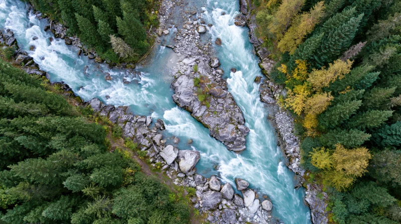 Aerial top-down view of a glacial turquoise river rushing through a forested canyon with autumn foliage and rocky banks