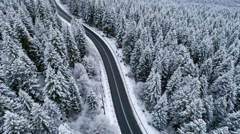 Winding road cutting through snow-covered pine forest from aerial view
