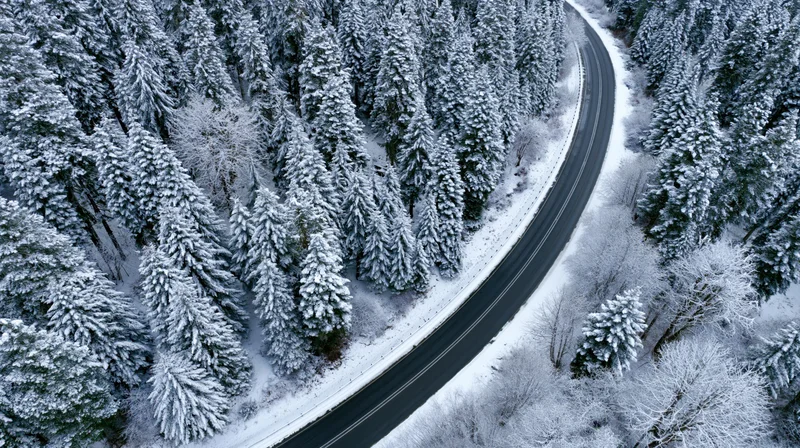 Winding road through snow-covered pine forest from aerial view