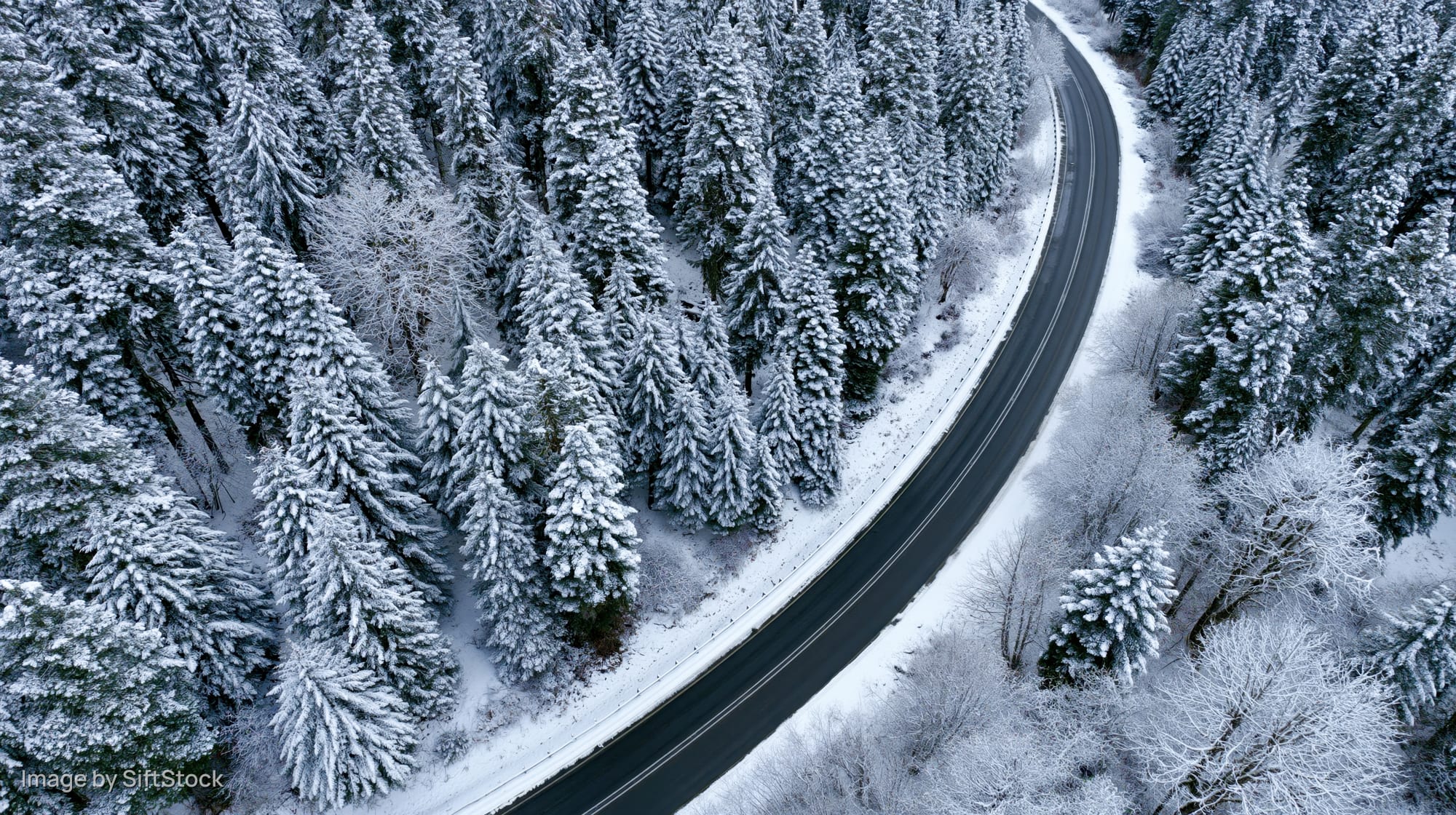 Winding road through snow-covered pine forest from aerial view
