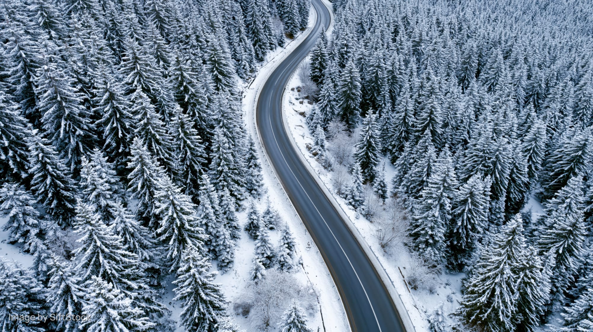 Winding road cutting through snow-covered pine forest from aerial view