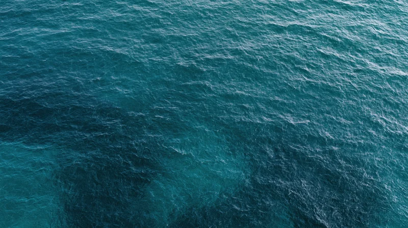 Aerial top-down view of open ocean surface filling the entire frame