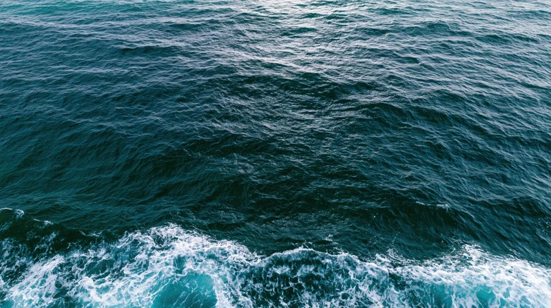 Aerial top-down view of open ocean surface with small ripples and white foam along the edge