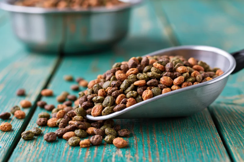 Aluminum scoop overflowing with dry pet kibble on a weathered teal wooden table