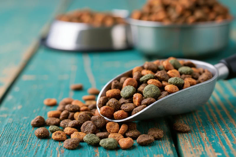 Aluminum scoop overflowing with dry pet kibble on a weathered teal wooden table