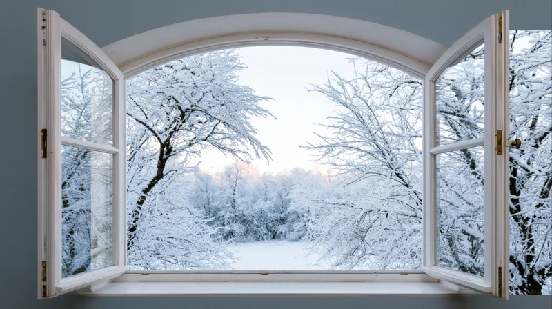 Open arched window framing snow-covered winter forest view from inside a room