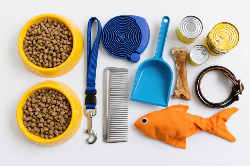 Pet supplies arranged flat lay on white background including bowls, leash, collar, toy, comb, scoop, cans, and kibble