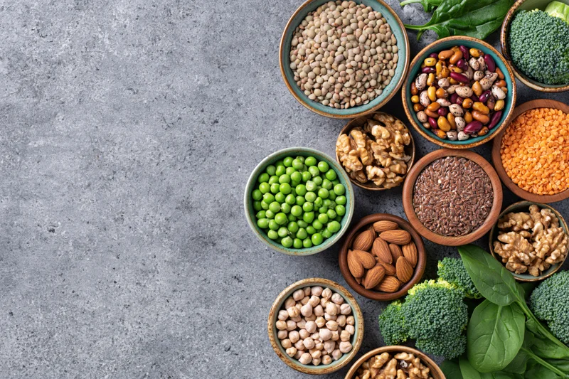 Assorted plant-based protein foods in ceramic bowls arranged on a gray countertop with copyspace