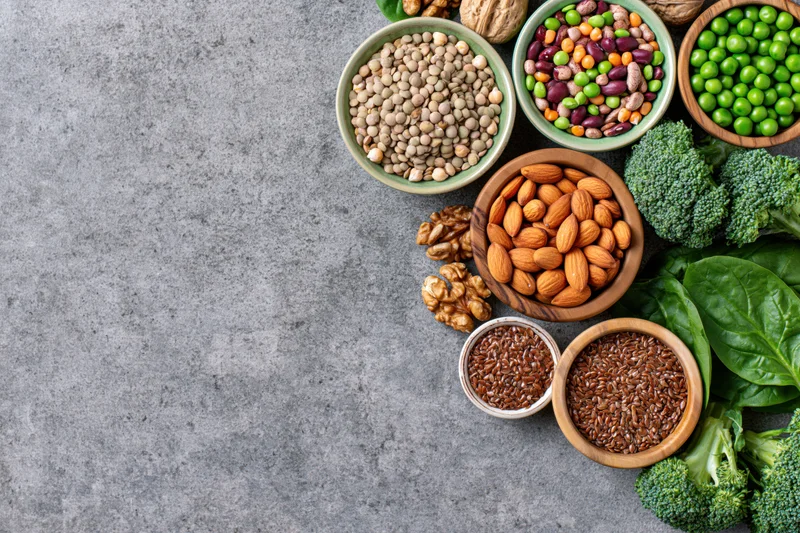 Assorted plant-based protein foods in bowls and on a gray surface arranged in a flat lay with copyspace on the left