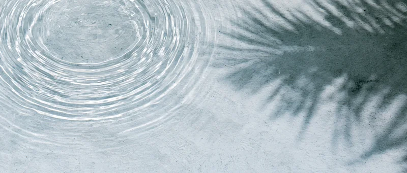 Shallow water surface with concentric ripples and palm leaf shadows from above