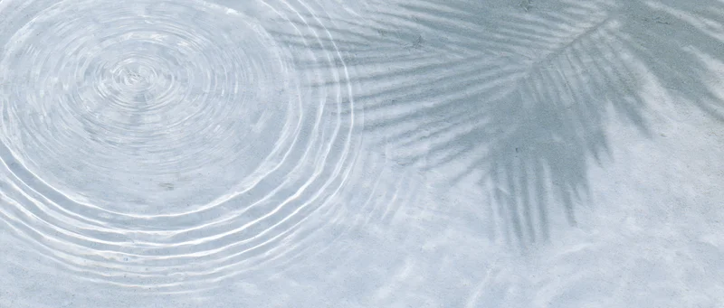 Shallow water surface with concentric ripples and palm leaf shadow from above