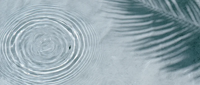 Concentric ripples spreading across shallow water surface from a droplet impact