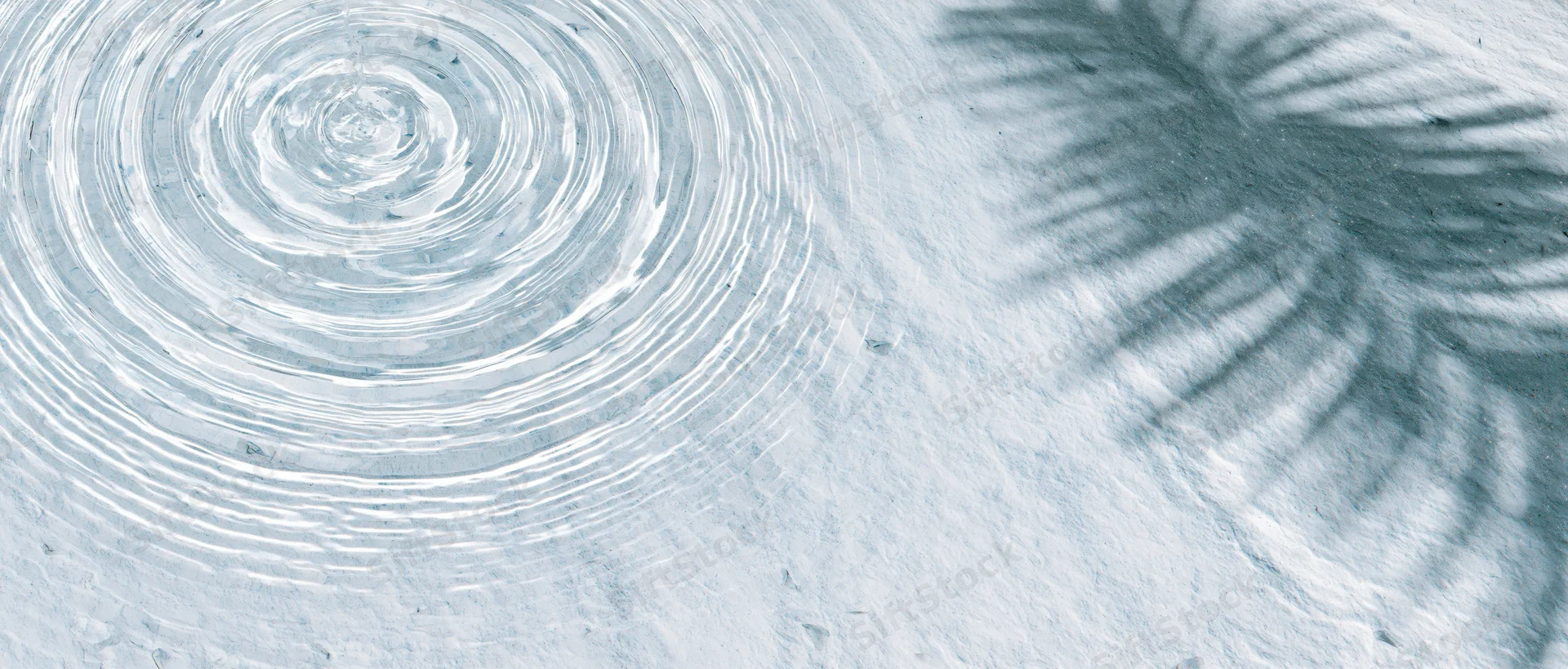 Concentric ripples spreading across shallow water surface with palm leaf shadow on sandy bottom