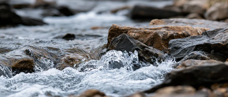Clear water rushing over jagged wet rocks in a natural stream setting