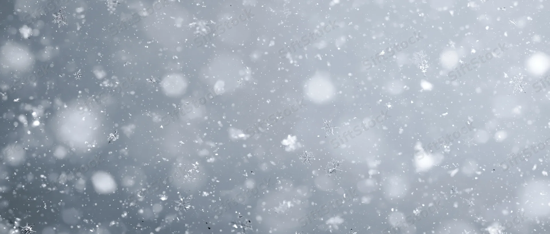 Falling snowflakes in soft focus against a gray winter sky
