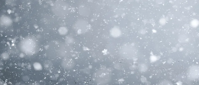 Falling snowflakes in soft focus against a gray winter sky