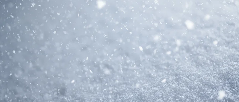 Falling snow in soft focus against a pale winter sky