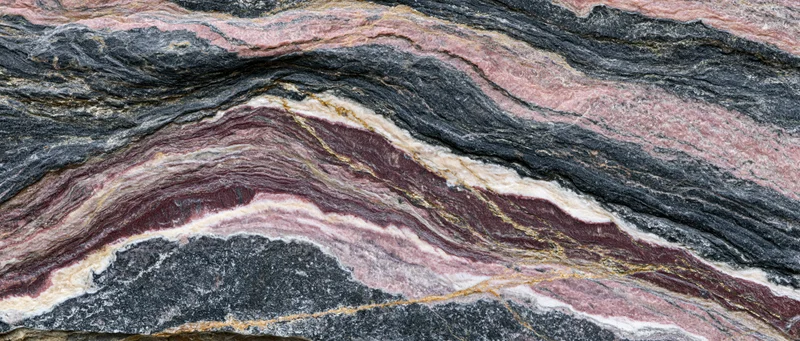 Polished metamorphic rock slab with layered strata and mineral veins filling the frame