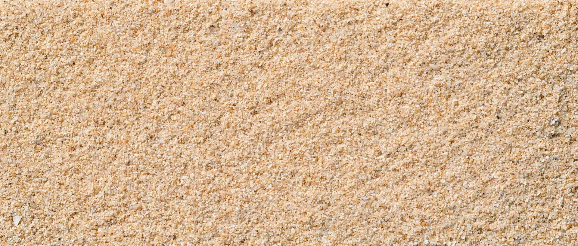 Closeup of dry beach sand filling the frame