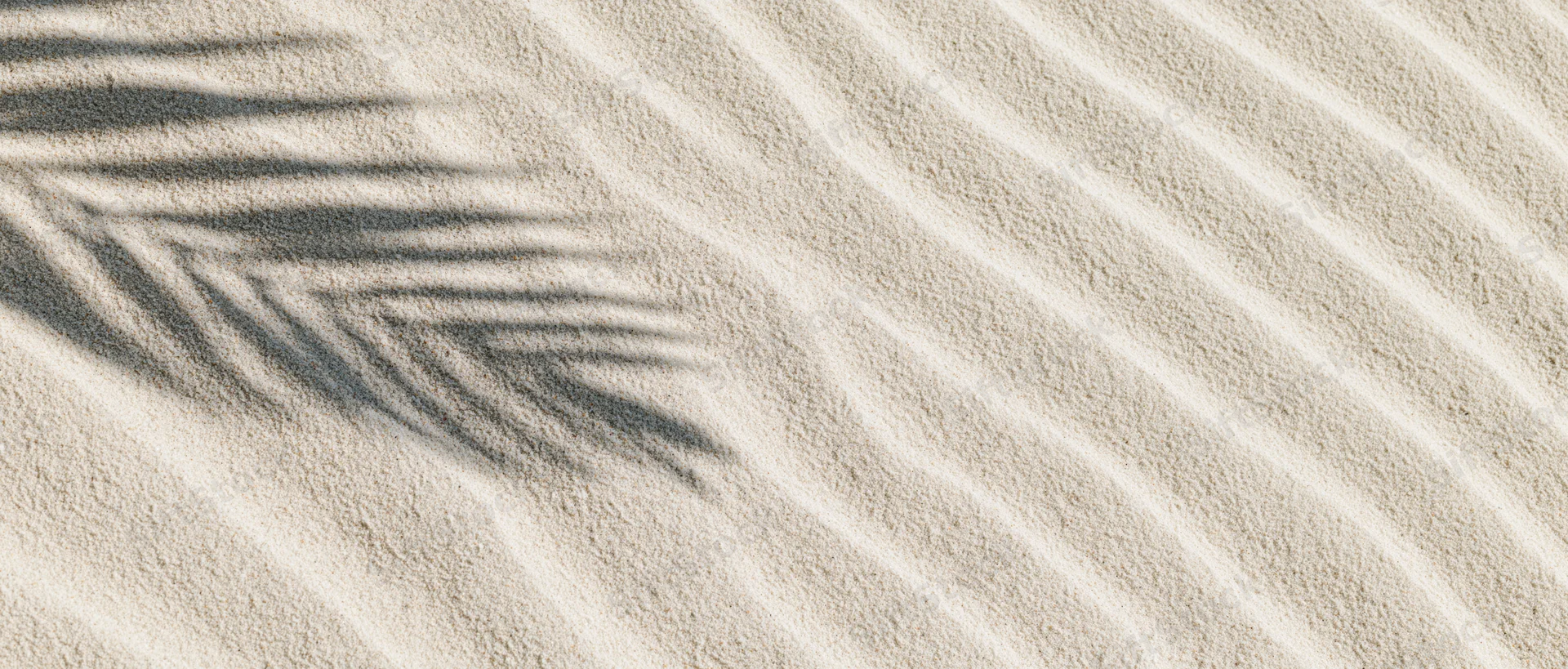 Close-up of fine beach sand with diagonal ripples and palm leaf shadow