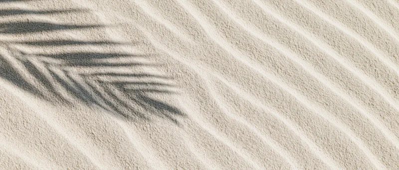 Close-up of fine beach sand with diagonal ripples and palm leaf shadow