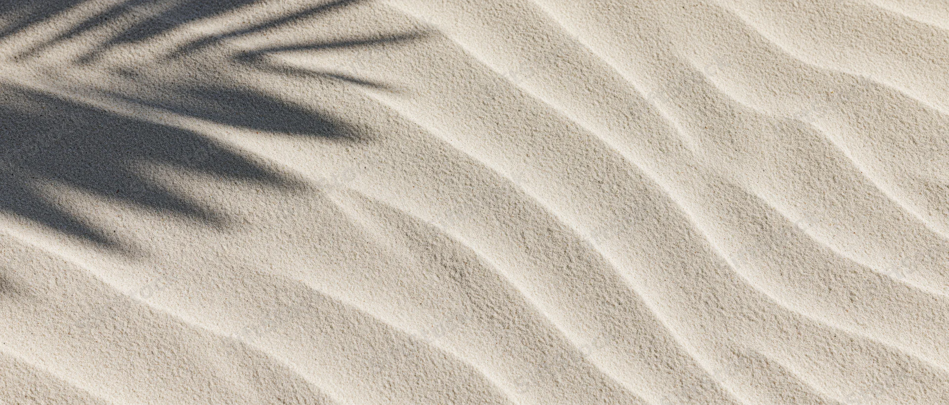 Close-up of rippled beach sand with palm shadow in sunlight