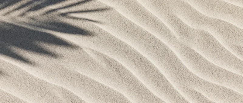 Close-up of rippled beach sand with palm shadow in sunlight