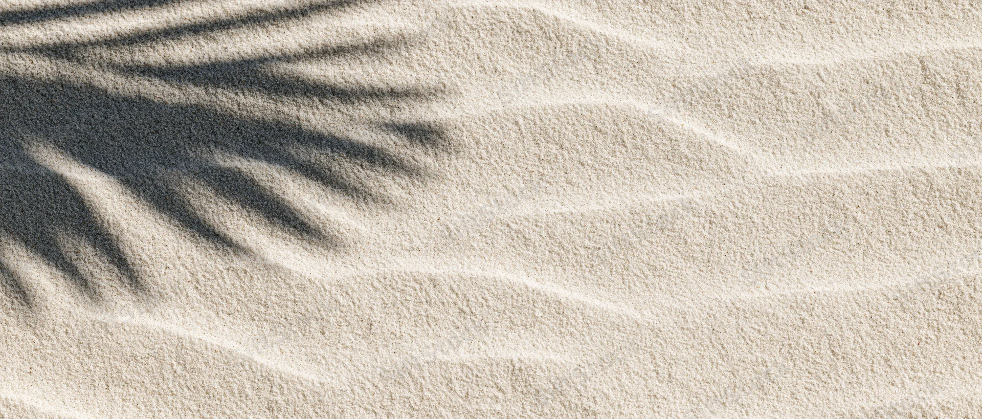 Close-up of fine beach sand with gentle ripples and palm frond shadow