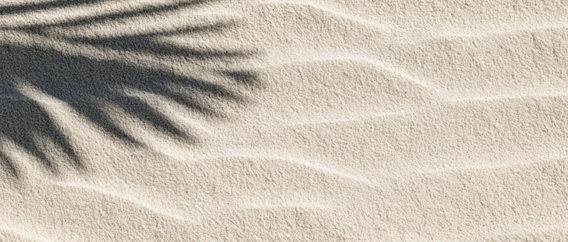 Close-up of fine beach sand with gentle ripples and palm frond shadow