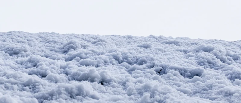 Close-up of disturbed snow surface at ground level under overcast sky