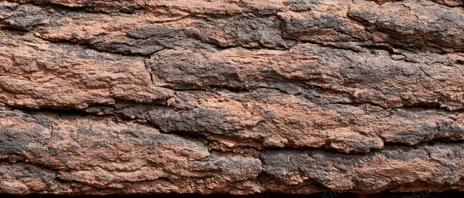Closeup of rough tree bark texture filling the frame