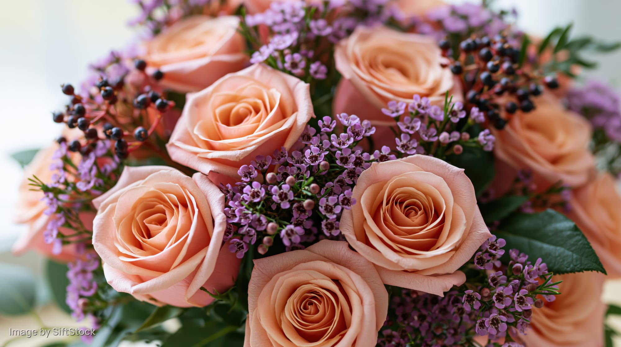 Close-up of a lush bouquet of salmon-pink roses mixed with purple filler flowers and greenery