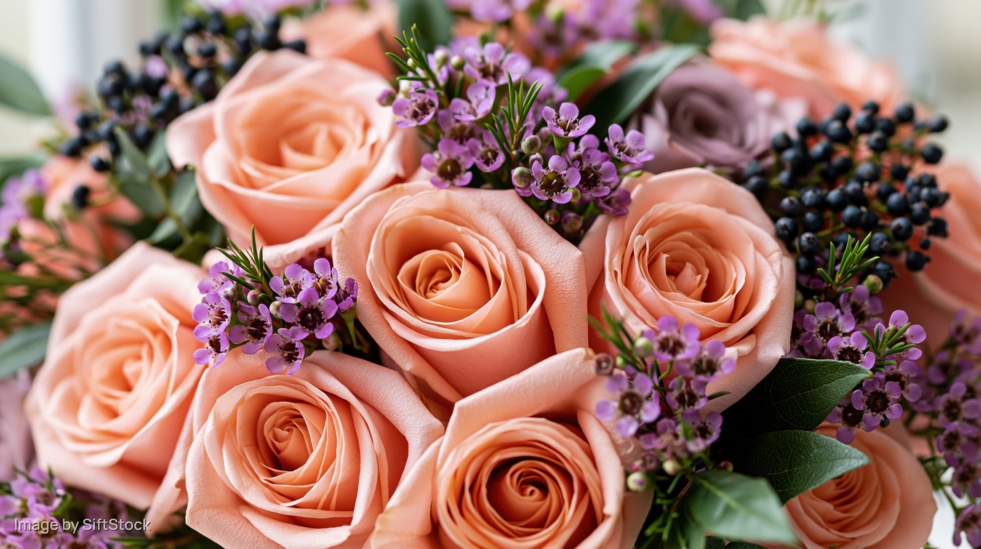 Close-up of a lush bouquet of salmon-pink roses mixed with purple flowers and black berries, arranged with green foliage