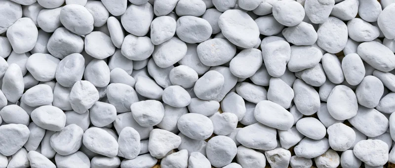 Close-up overhead view of smooth white pebbles densely spread across a flat surface